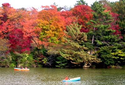 愛知県大高緑地公園の紅葉(撮影11月10日)