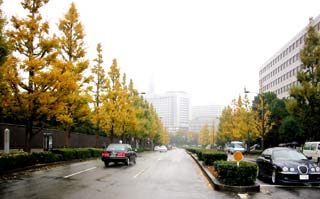 第1議員会館の脇からみた霞ヶ関方面