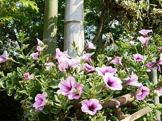 image/030510-224931-a05030003.jpg