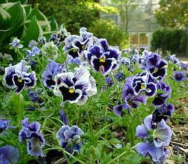 image/030511-220801-a05030021.jpg