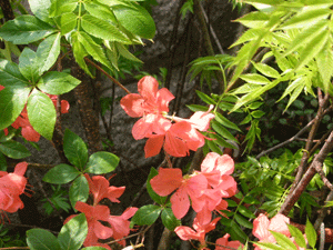 image/030522-184733-IMG_8666.gif