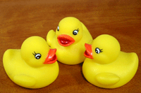 image/060825-164041-aIMG_6335.gif